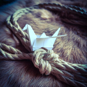 Shibari und Origami