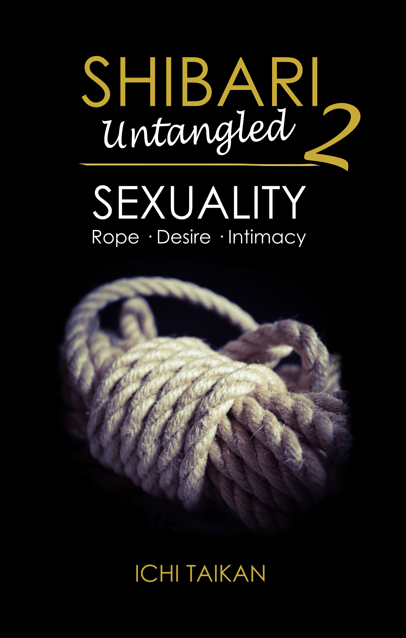 Shibari Verstehen 2 Cover